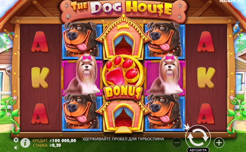 도그하우스 슬롯 가이드 도그하우스 슬롯의 모든 것